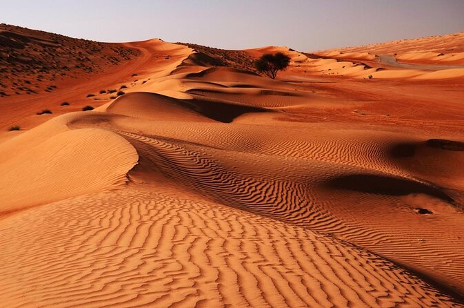 Wahiba Sands and Desert Safari From Muscat - Key Points