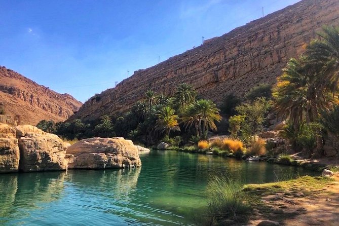 Wahiba Sands and Desert Safari From Muscat - Exploring the Wahiba Sands