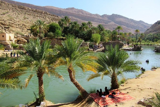 Wahiba Sands Safari With Wadi Swimming and Camelride - Inclusions