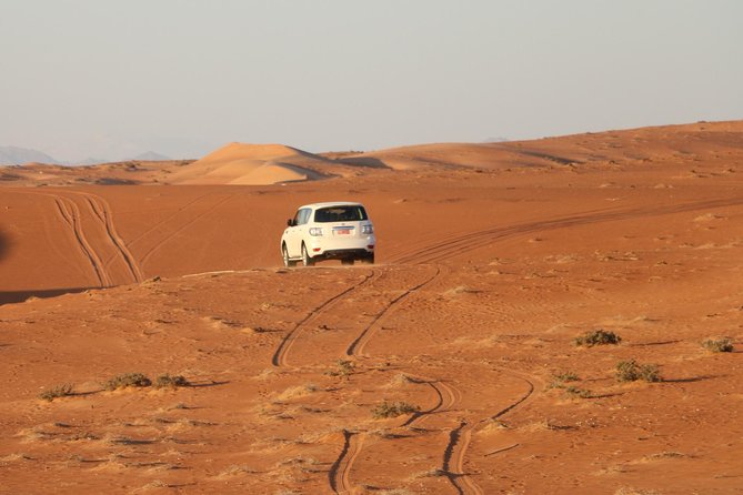 Wahiba Sands Safari With Wadi Swimming and Camelride - Camel Ride Experience