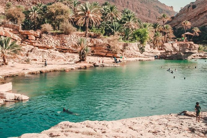 Wahiba Sands&Wadi Bani Khalid Desert Safari(Muscat Tours) : Private Tours - Desert Dunes and Wadi Exploration