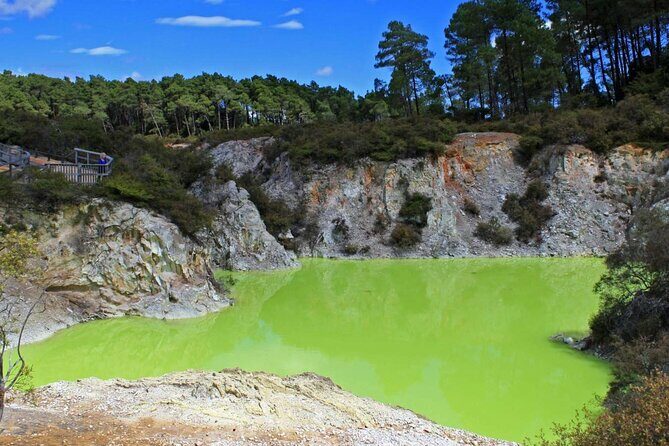 Wai O Tapu Thermal Wonderland with Forest Walk or Forest Spa - An Overview of the Tour
