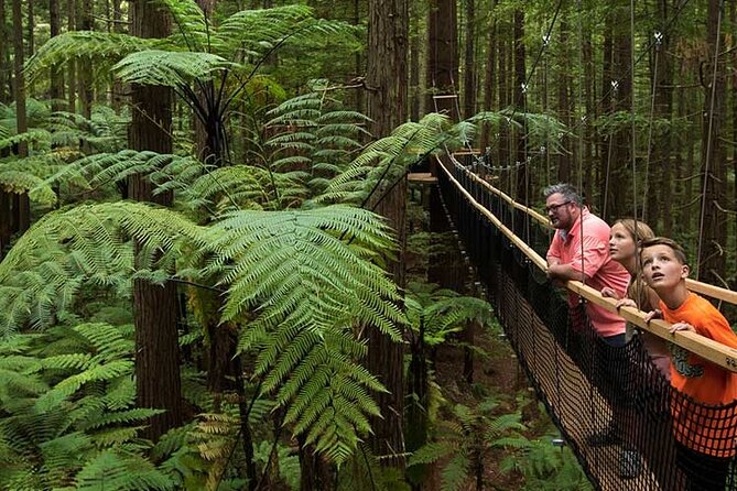Wai-O-Tapu to Redwoods and Secret Spot - Transportation and Logistics