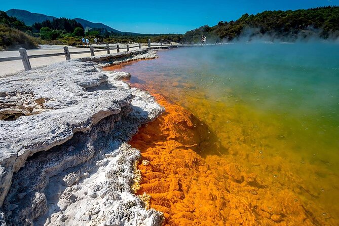 Wai-O-Tapu to Redwoods and Secret Spot - Inclusions and Exclusions
