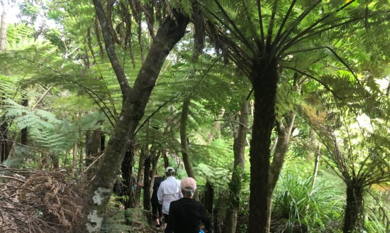 Waiheke Island: 5-Day Self-Guided Te Ara Hura Walk - Daily Exploration and Locations