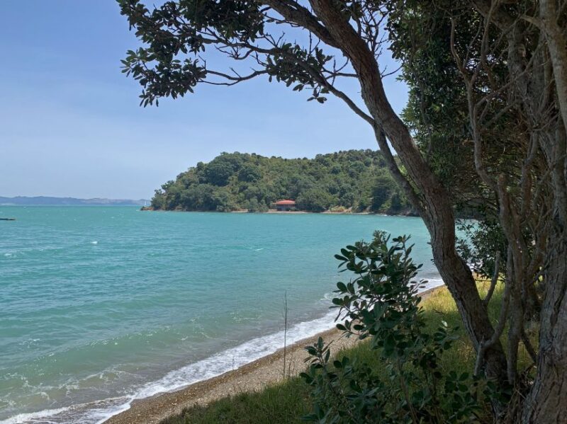 Waiheke Island: 5-Day Self-Guided Te Ara Hura Walk - Included Transportation and Meals