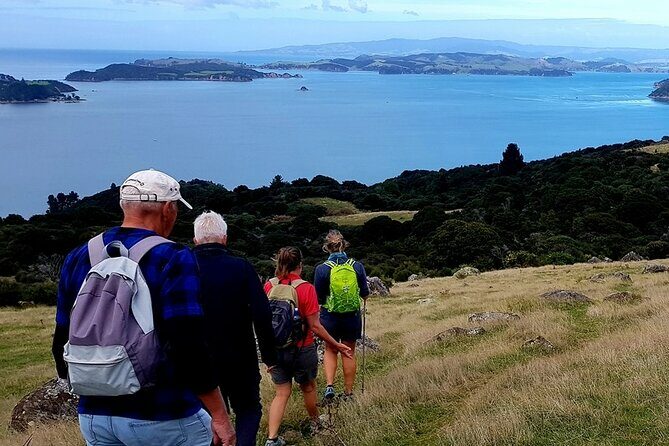 Waiheke Island 5 Day Self Guided Walking Adventure - The Heart of the Experience: An Overview