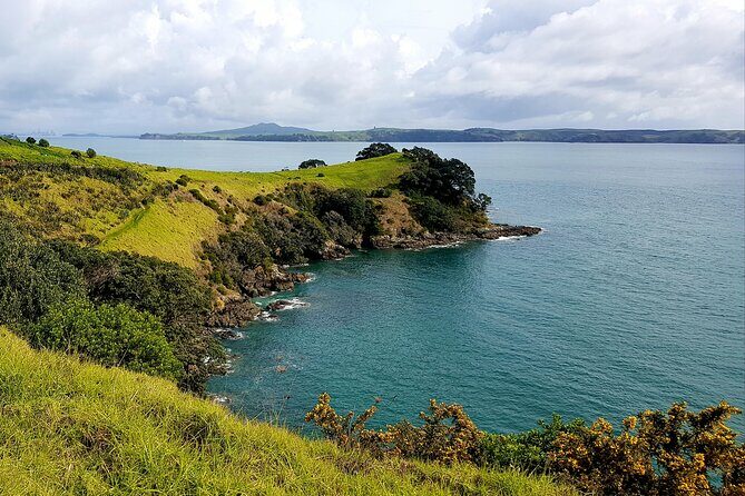 Waiheke Island 5 Day Self Guided Walking Adventure - The Itinerary: What You’ll See and Do
