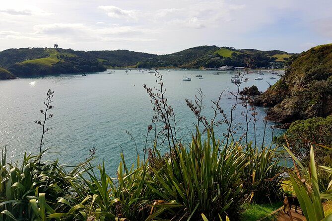 Waiheke Island 5 Day Self Guided Walking Adventure - Price and Value