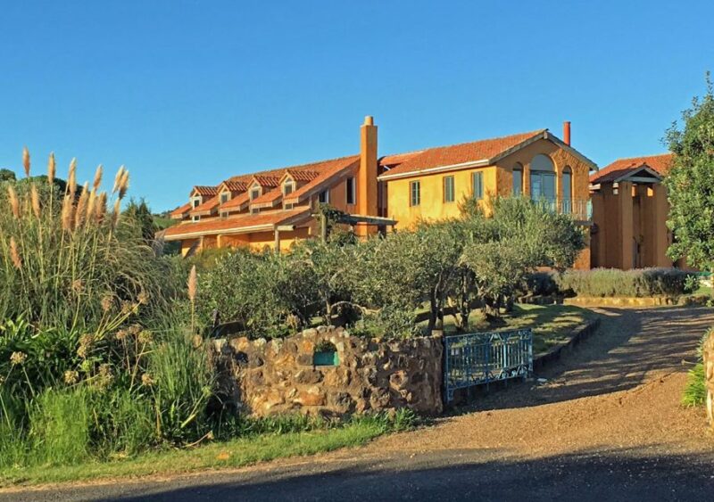 Waiheke Island: 5-Hour Guided Art Tour - Scenic Ferry Ride
