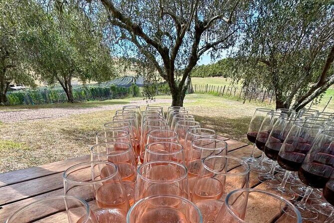 Waiheke Island: Afternoon Wine Affair with Ocean Front Lunch - Who Should Consider This Tour?