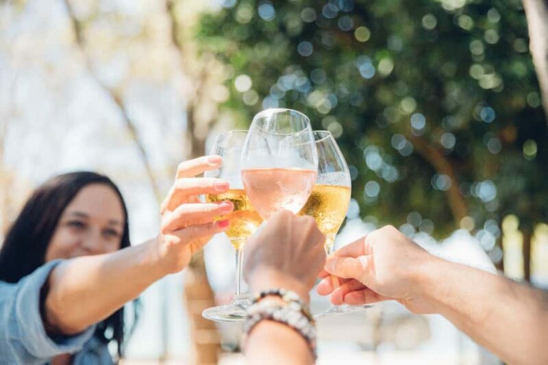 Waiheke Island: Afternoon Wine Tour with Oceanfront Lunch - An In-Depth Look at Waiheke Islands Afternoon Wine Tour
