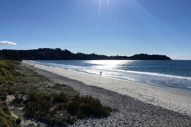 Waiheke Island Bush & Beach Walk - Highlights and Features
