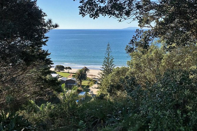 Waiheke Island Bush & Beach Walk - What to Bring