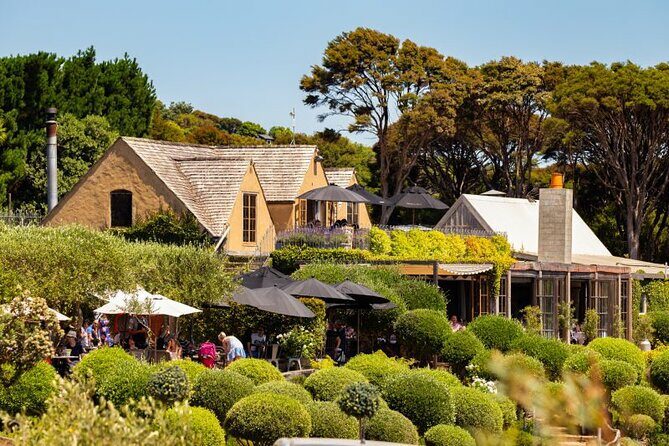 Waiheke Island Day Tour: Ziplining, Wine Tasting & Vineyard Lunch - The Practicalities