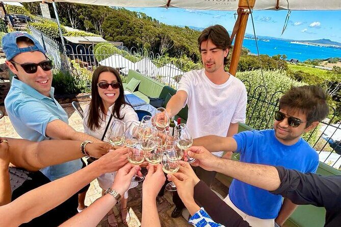 Waiheke Island Day Tour: Ziplining, Wine Tasting & Vineyard Lunch - Who Should Consider This Tour?