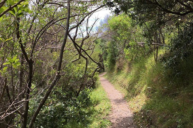 Waiheke Island Double Headland Coastal Walk - What to Expect