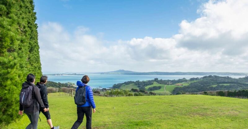 Waiheke Island: Double Headland Premium Guided Coastal Walk - Key Points