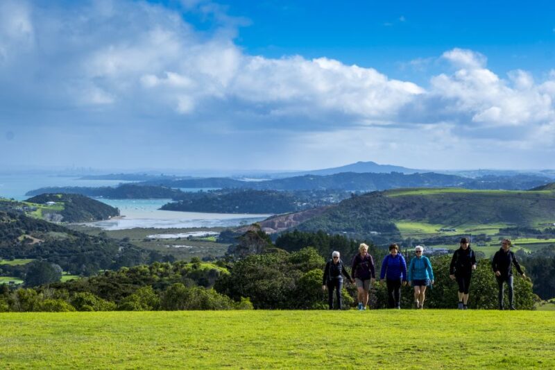 Waiheke Island: Double Headland Premium Guided Coastal Walk - Inclusions and Requirements