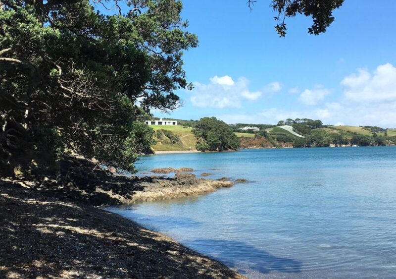 Waiheke Island: Double Headland Premium Guided Coastal Walk - Customer Feedback and Ratings