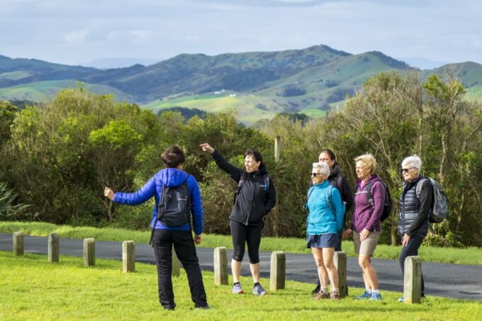 Waiheke Island: Double Headland Premium Guided Coastal Walk - Getting to the Meeting Point