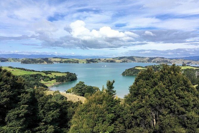 Waiheke Island Experience Tour - An In-Depth Look at the Waiheke Island Experience Tour