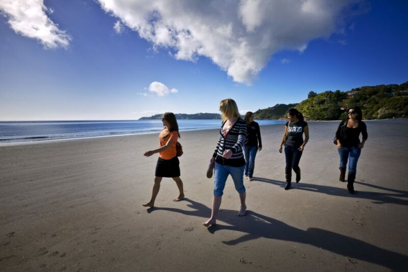 Waiheke Island: Ferry & Hop-On Hop-Off Explorer Bus Tickets - Itinerary and Attractions