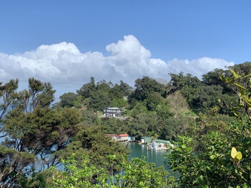 Waiheke Island: Forest and Beach Premium Guided Walk - Key Points