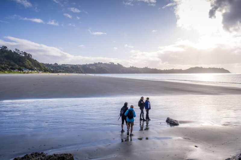 Waiheke Island: Forest and Beach Premium Guided Walk - Itinerary and Highlights