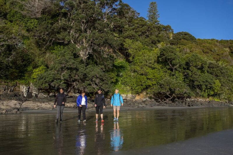 Waiheke Island: Forest and Beach Premium Guided Walk - Participant Information