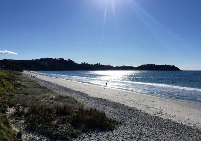 Waiheke Island: Forest and Beach Premium Guided Walk - Customer Reviews