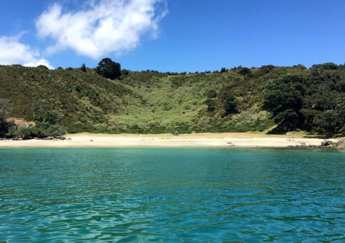 Waiheke Island: Forest and Beach Premium Guided Walk - Meeting Point and Time