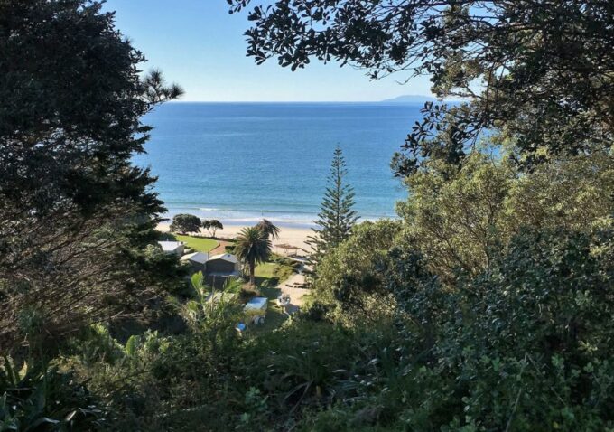 Waiheke Island: Forest and Beach Premium Guided Walk - Tour Duration and Price