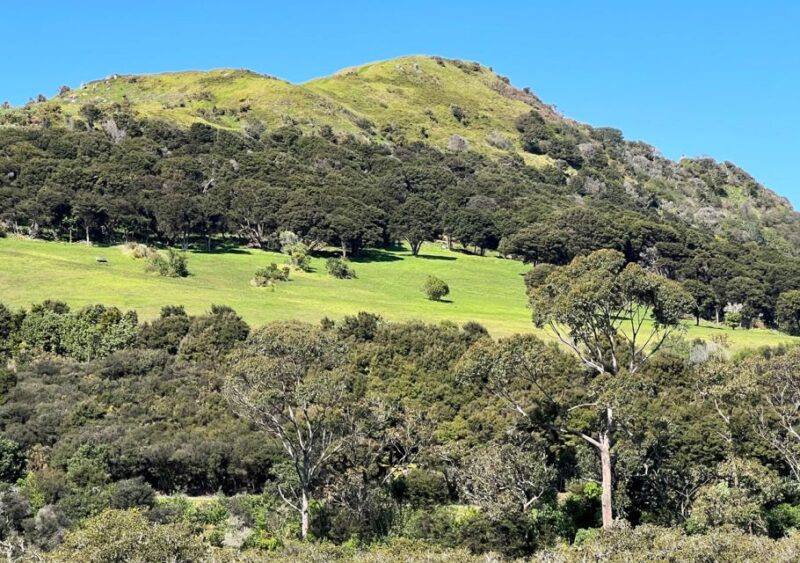 Waiheke Island: Full Day Guided History and Heritage Tour - Cultural Experience