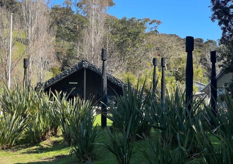 Waiheke Island: Full Day Guided History and Heritage Tour - Vineyard and Culinary Experience