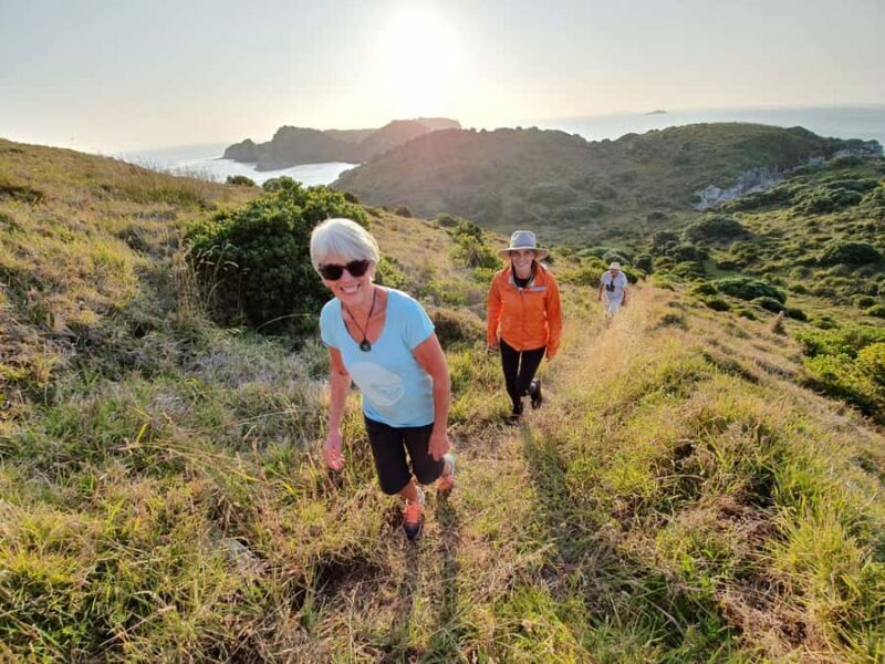 Waiheke Island: Gulf Marine Park Sailing Adventure & Lunch - Practical Details and Considerations