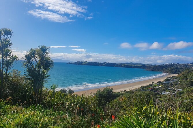 Waiheke Island Half Day Scenic Wine and Lunch - Itinerary and Inclusions