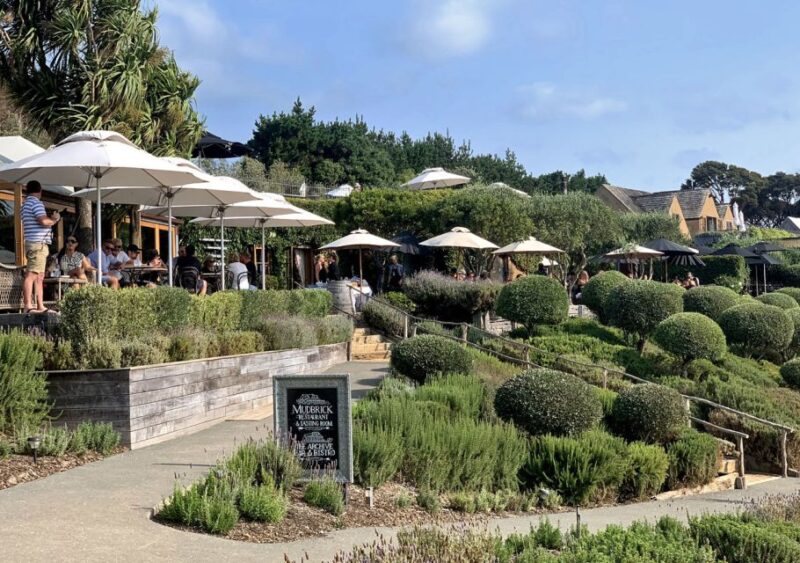 Waiheke Island: Premium Vineyard, Wine Tasting and Bush Walk - Customer Feedback