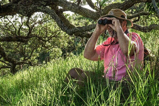 Waiheke Island Private Birding Tour - Introduction
