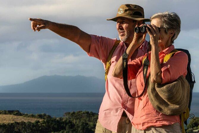 Waiheke Island Private Birding Tour - The Sum Up