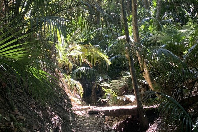 Waiheke Island Private Forest Therapy Walk - Included Amenities