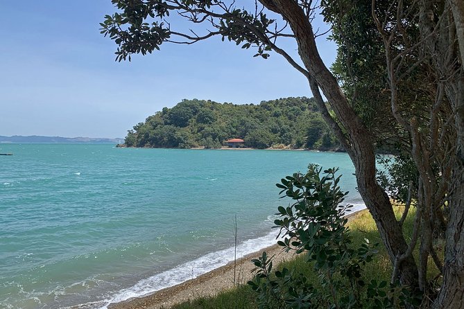Waiheke Island Private Freedom Te Ara Hura Walk - Accommodation and Group