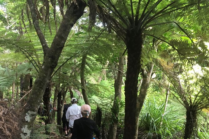 Waiheke Island Private Freedom Te Ara Hura Walk - Weather and Accessibility