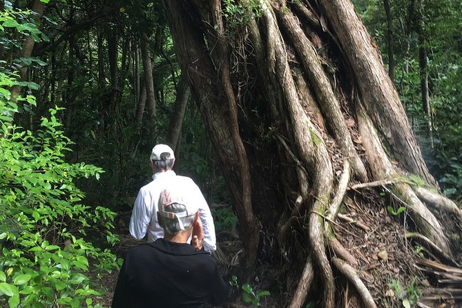 Waiheke Island Private Freedom Te Ara Hura Walk - Booking and Cancellation