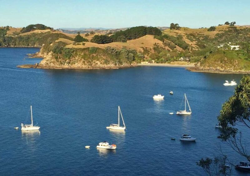 Waiheke Island: Private Guided Te Ara Hura 5-Day Walk - Accommodation and Meals