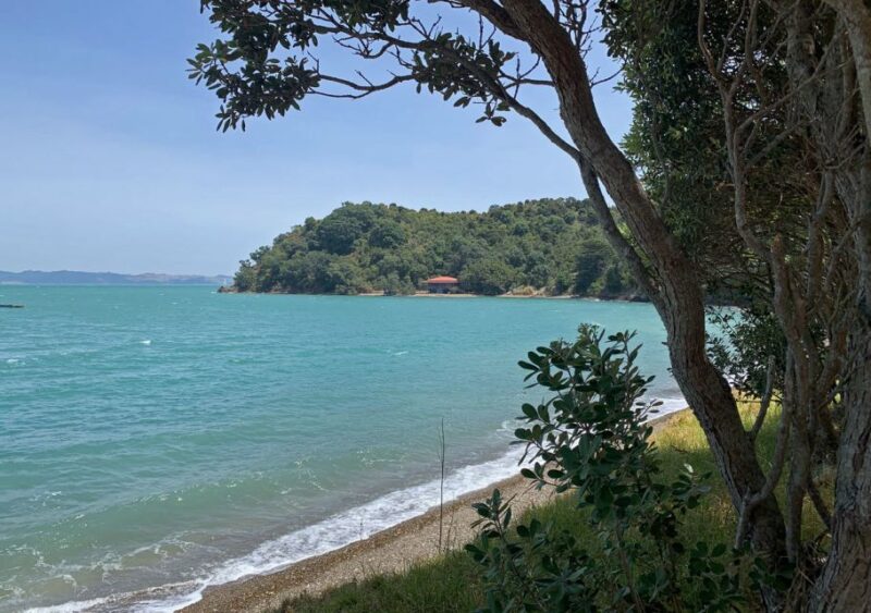 Waiheke Island: Private Guided Te Ara Hura 5-Day Walk - Transportation and Logistics