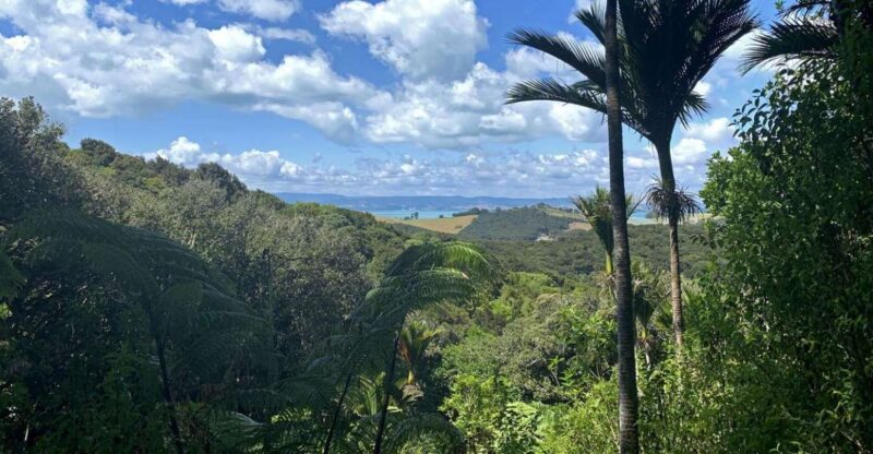 Waiheke Island: Private Guided Te Ara Hura 5-Day Walk - Guided Experience