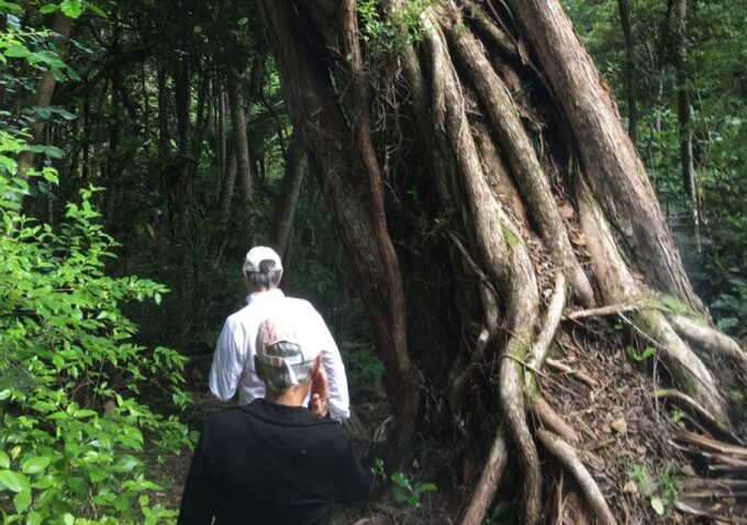 Waiheke Island: Private Guided Te Ara Hura 5-Day Walk - Cancellation Policy