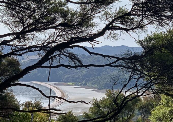 Waiheke Island: Private Guided Te Ara Hura 5-Day Walk - Frequently Asked Questions