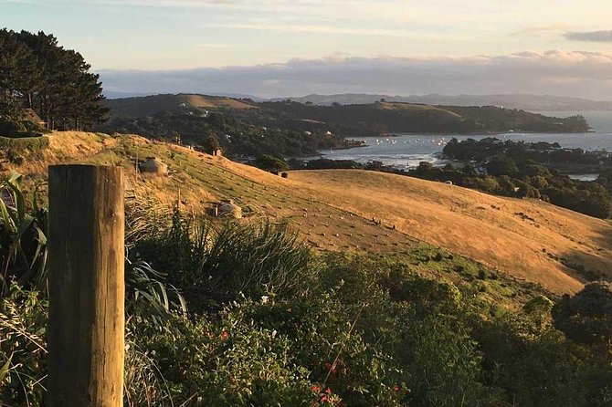 Waiheke Island Private Guided Te Ara Hura Walk - Inclusions